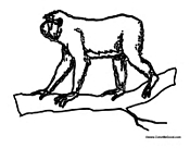 Ape Climbing 1