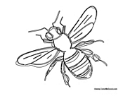 Bee 3