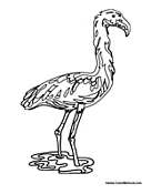 Flamingo in the Water 3