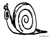 Snail
