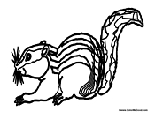 Chipmunk Getting Ready