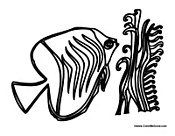 Fish and Water Plants