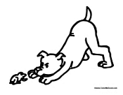 Dog Playing with Frog