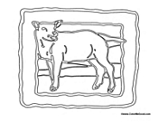 Sheep with Frame