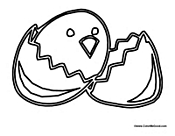 Chick Hatching from Egg